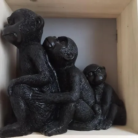 Jolie Maison De Bourg équipée 10km D'ambert