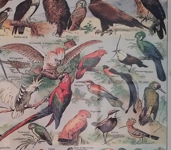 Jolie Maison De Bourg Equipee 10km D'ambert * Saint-Amant-Roche-Savine