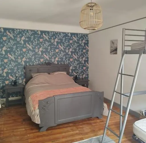 Jolie Maison De Bourg Equipee 10km D'ambert Holiday home Saint-Amant-Roche-Savine