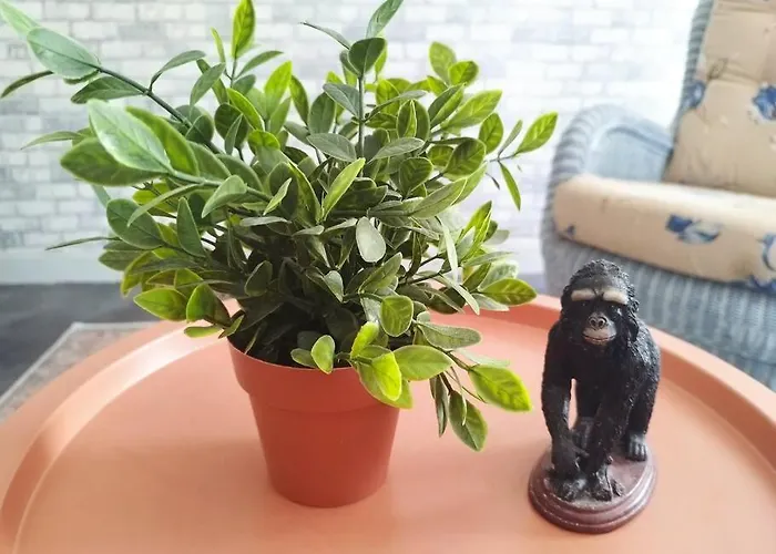 Jolie Maison De Bourg Equipee 10km D'ambert Holiday home Saint-Amant-Roche-Savine