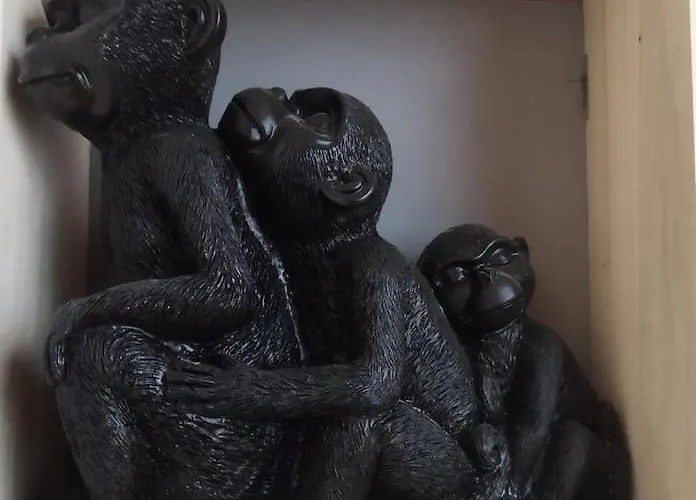 Jolie Maison De Bourg Equipee 10km D'ambert